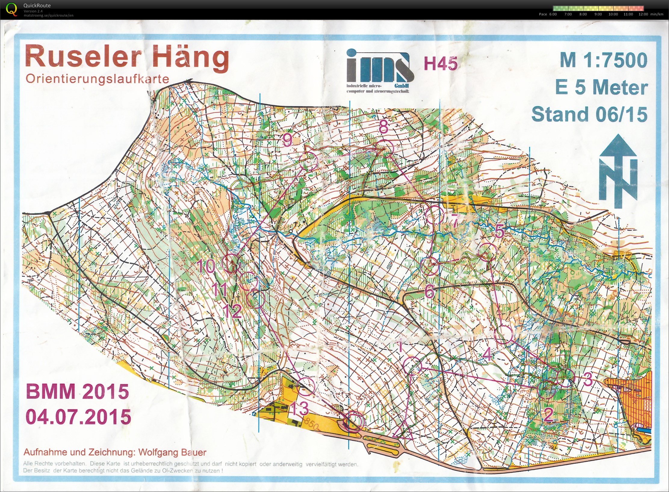 Bayerische Meisterschaften Mittel-OL 2015 - Rusel (2015-07-04)