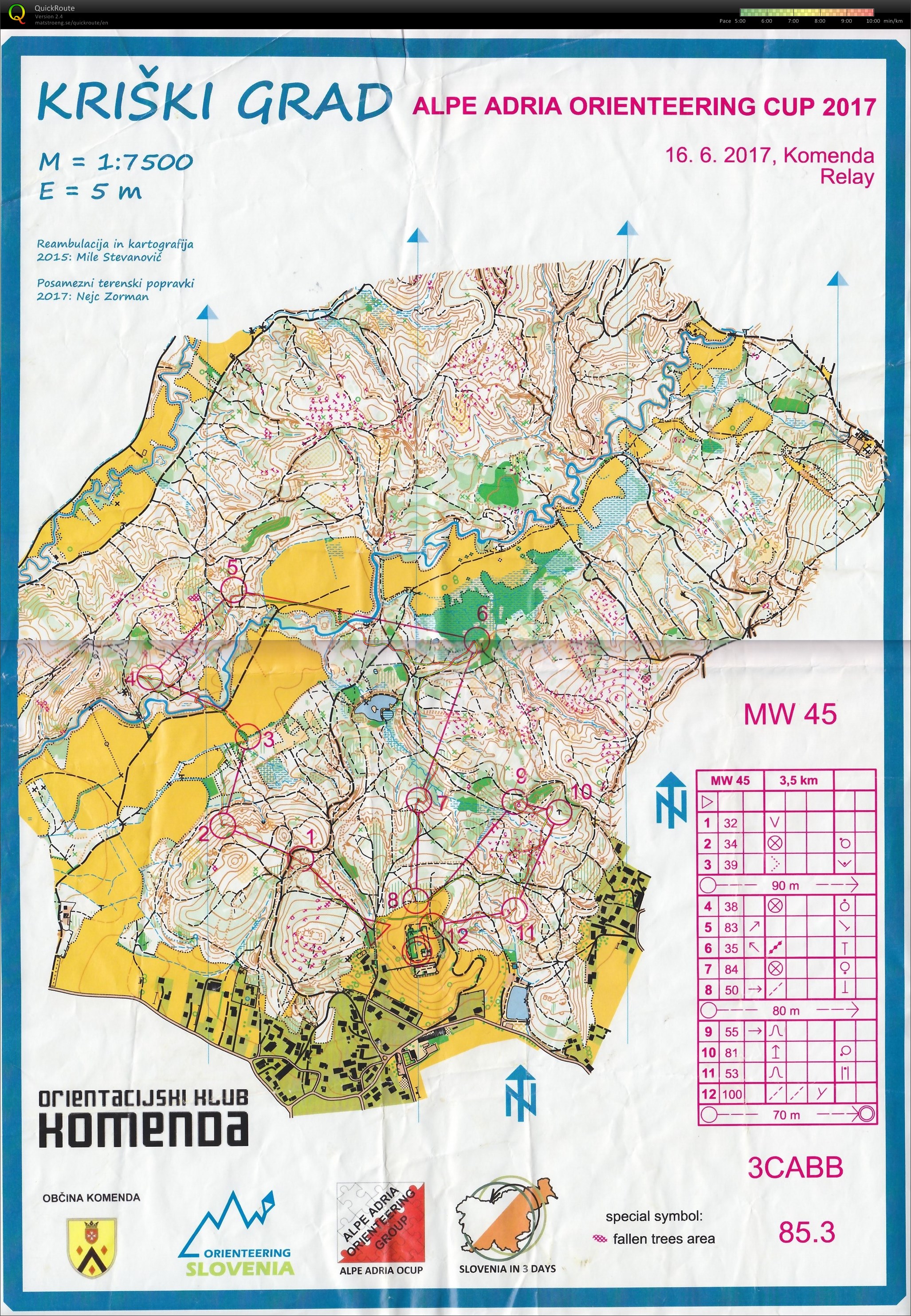 Alpe Adria Orienteering Cup - Staffel (16-06-2017)