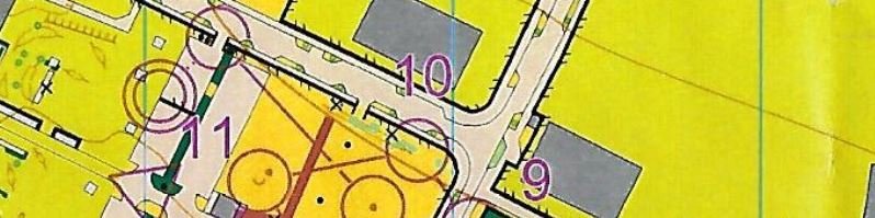 DM Sprintstaffel Dresden (16.06.2024)