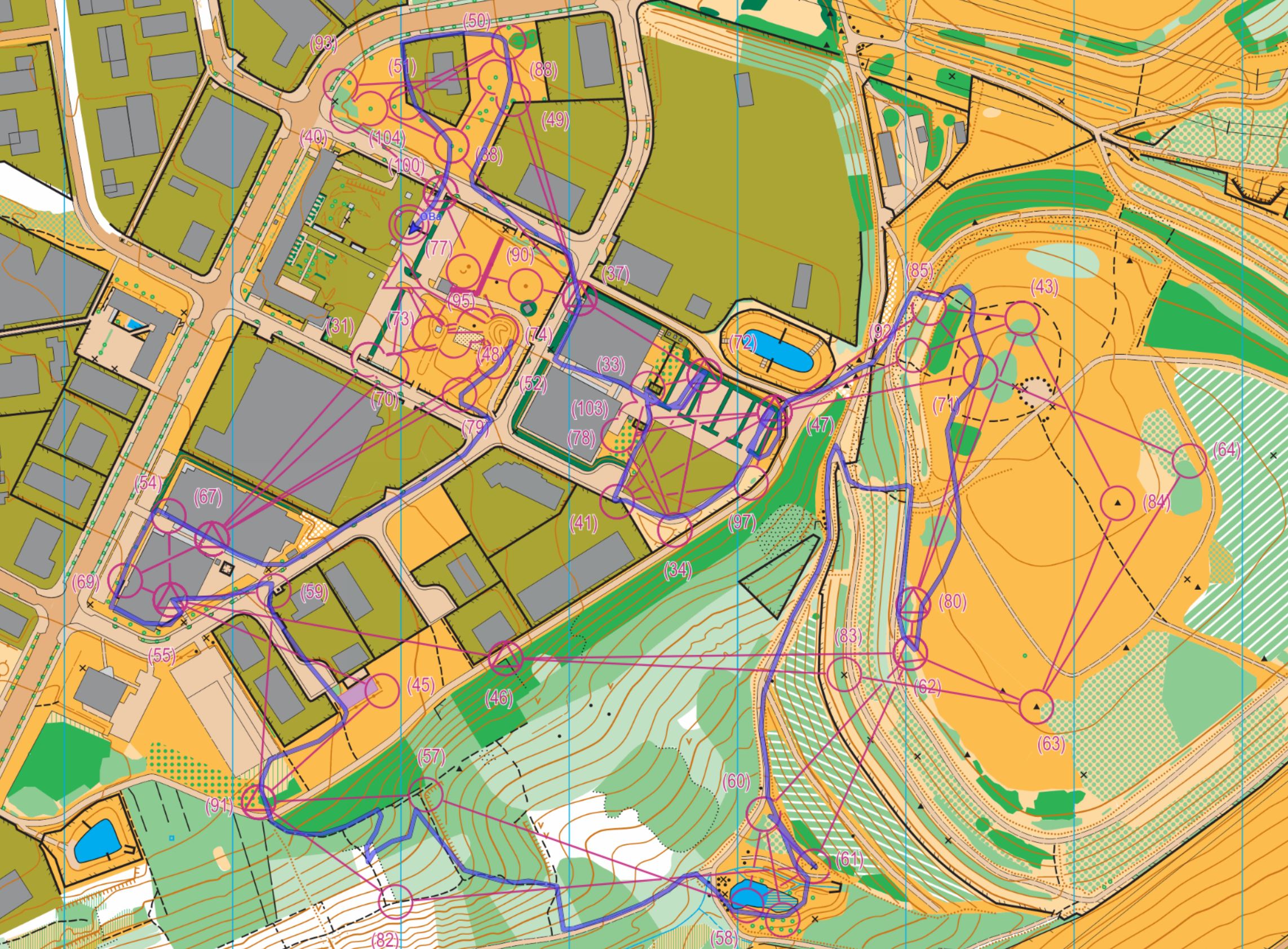 DM Sprintstaffel Dresden (16-06-2024)