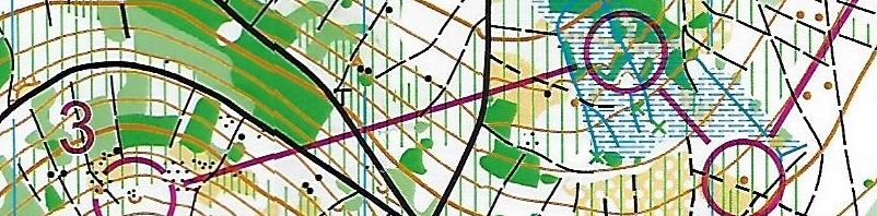 Bavarian Forest 5 Days 2024 (06.07.2024)