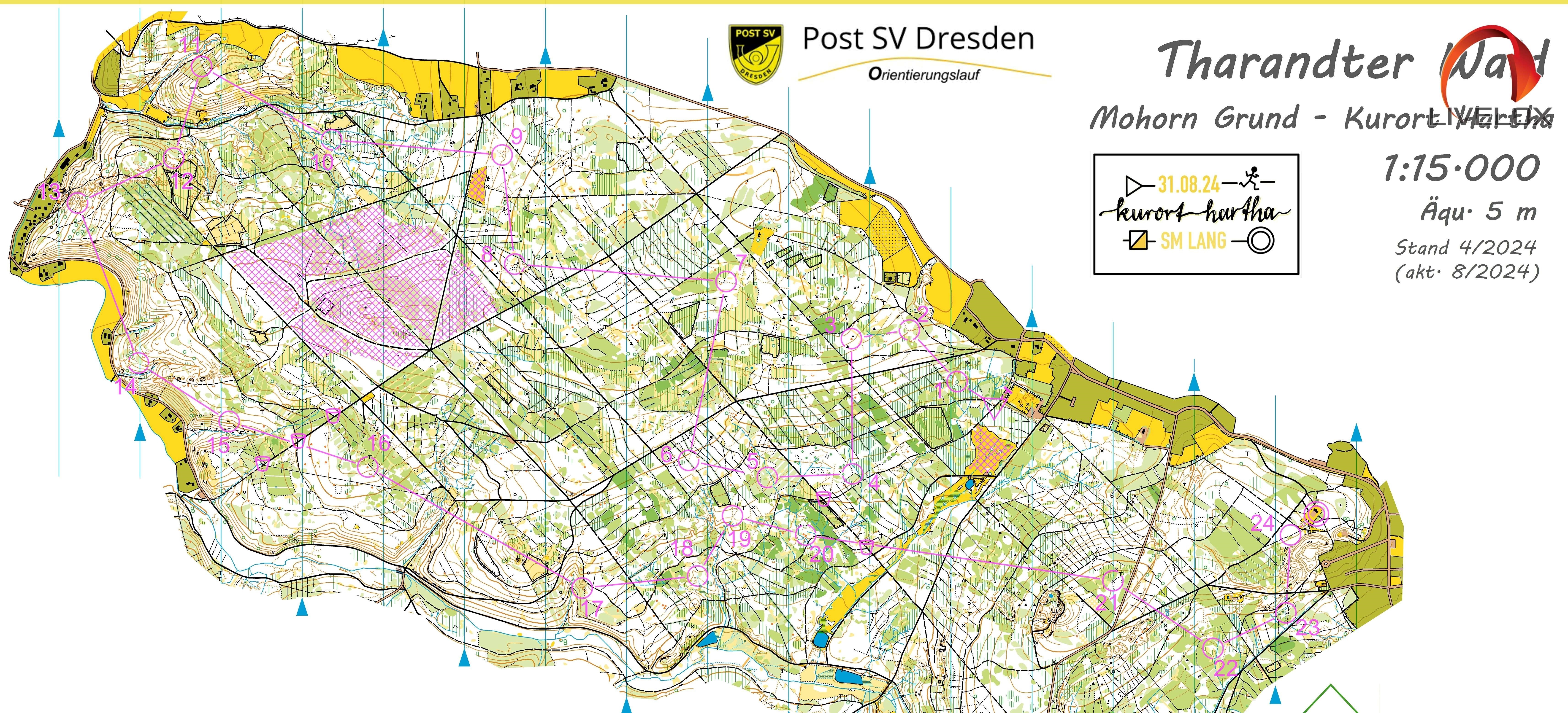 Sächsische Meisterschaft Lang-OL 2024 (31/08/2024)