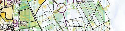 D-Cup 2024 Königstein