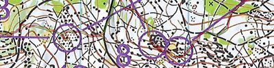 Winterlaufserie Regesburg 2024/25 Lauf 1