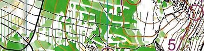 Bayerische Meisterschaft Mittel-OL 2025 (06.09.2025)